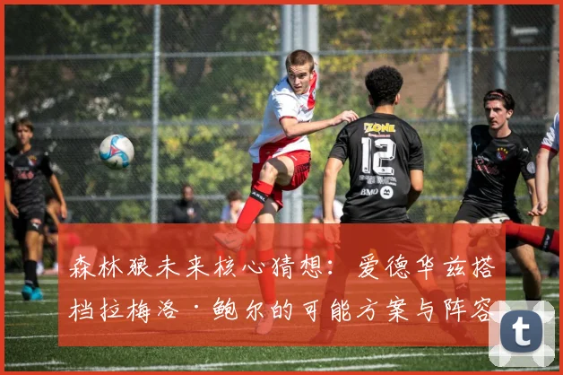 森林狼未来核心猜想：爱德华兹搭档拉梅洛·鲍尔的可能方案与阵容兼容性分析