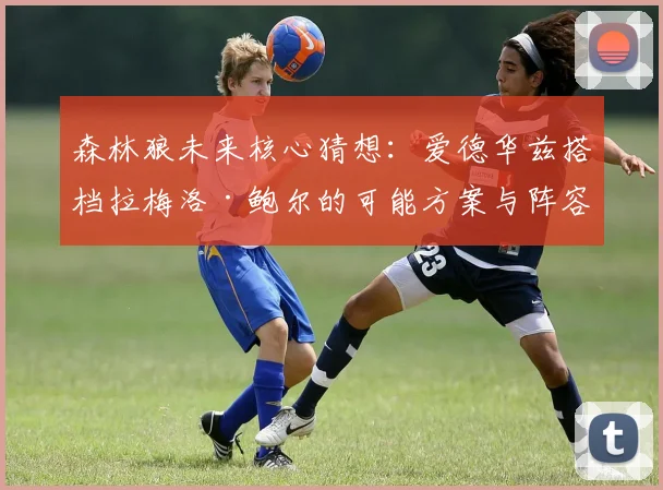 森林狼未来核心猜想：爱德华兹搭档拉梅洛·鲍尔的可能方案与阵容兼容性分析