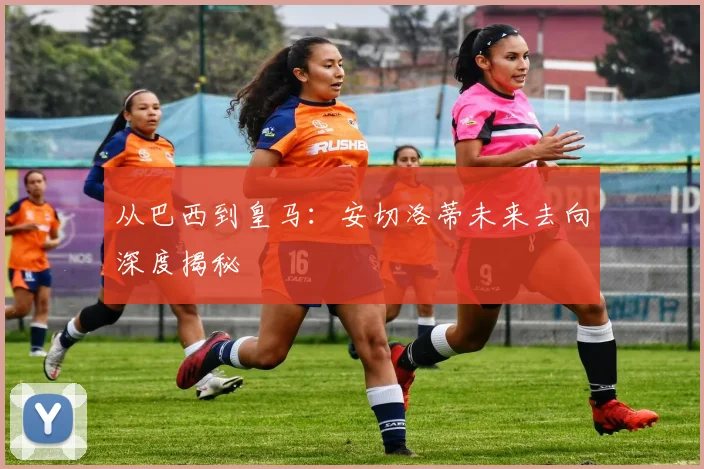 从巴西到皇马：安切洛蒂未来去向深度揭秘