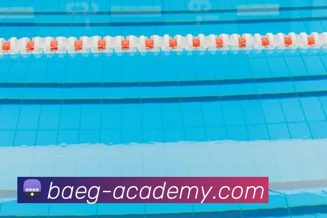 战术分析频道